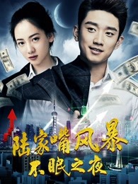 陆家嘴风暴:不眠之夜(2017)海报