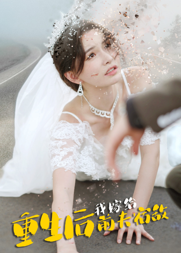 重生后我嫁给前夫宿敌海报