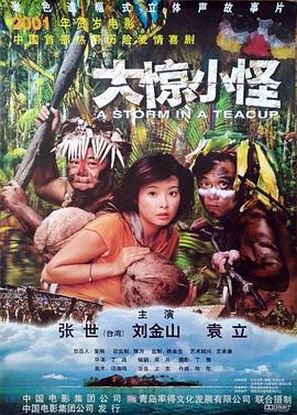 大惊小怪 2000(2000)海报