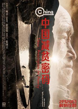 中国减贫密码(2021)海报