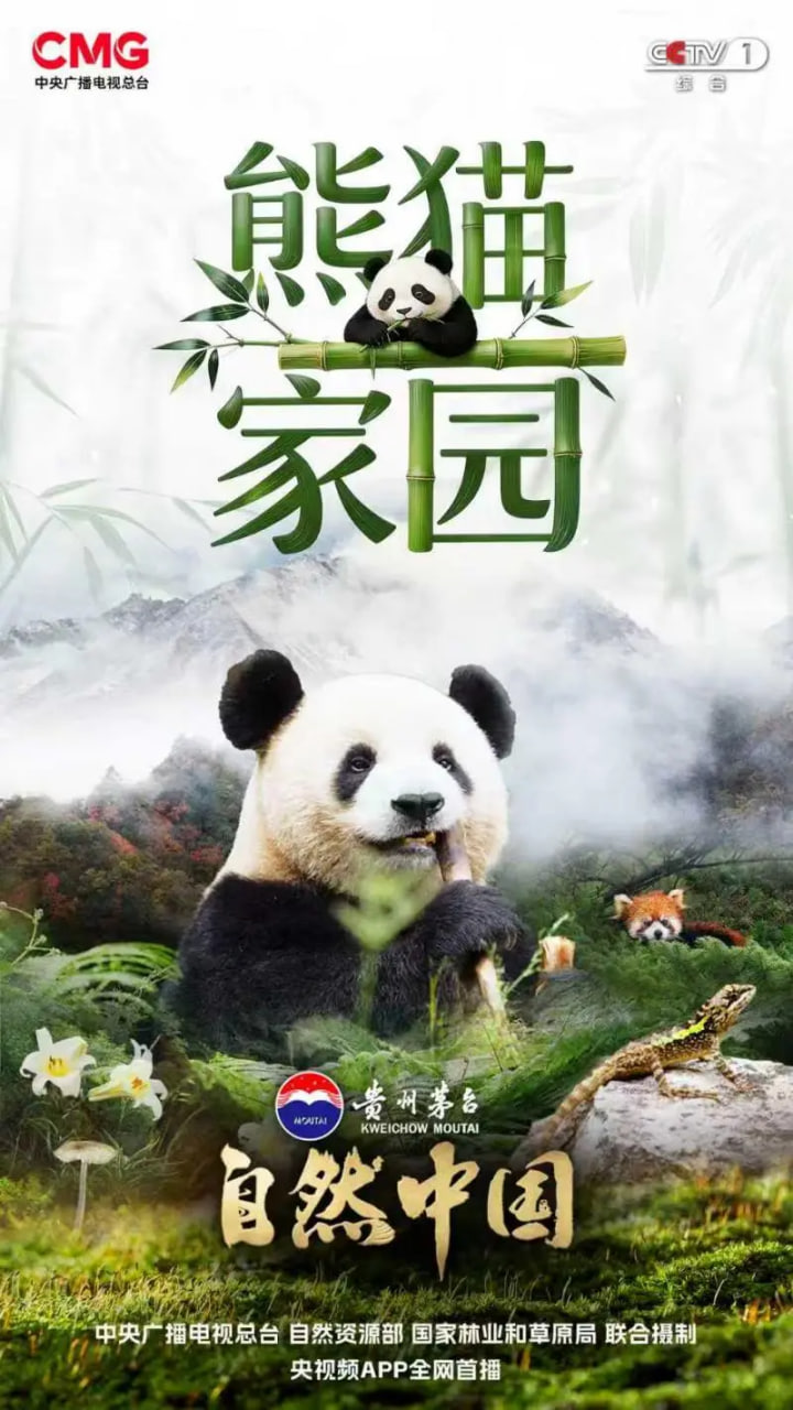 熊猫家园(2026)海报