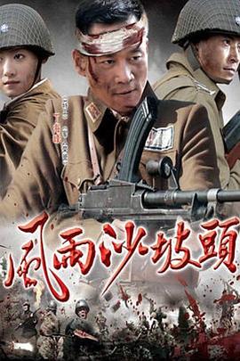 风雨沙坡头(2010)海报
