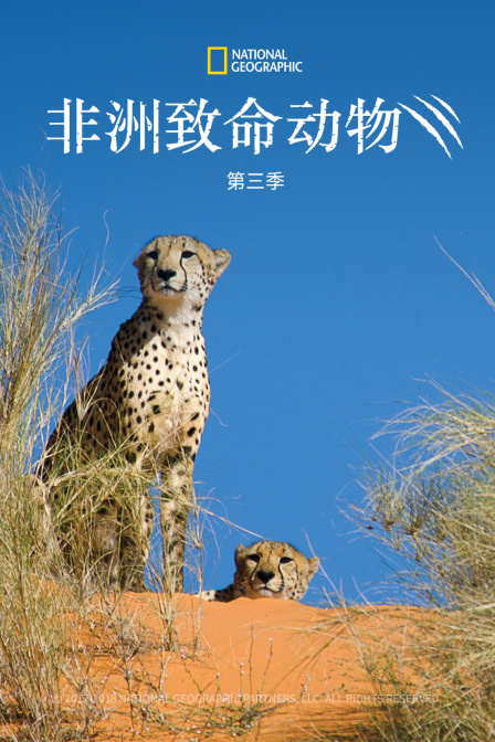 非洲致命动物第三季(2022)海报
