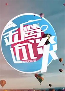 金鹰访谈2011(2011)海报
