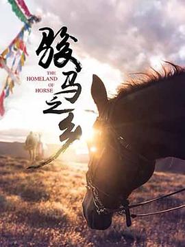 骏马之乡(2022)海报