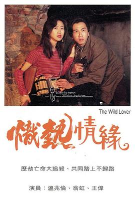 炽热情缘粤语(1995)海报