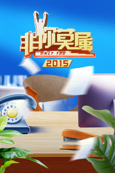 非你莫属2015(2015)海报