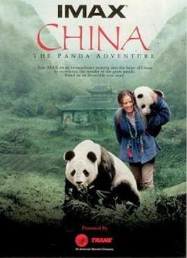 与熊猫共探险(2007)海报