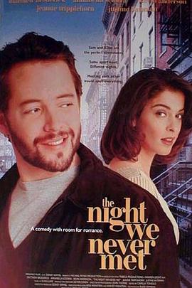 表错一夜情(1993)海报