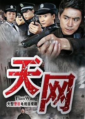 天网2011(2011)海报