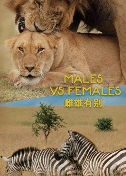 雌雄有别(2021)海报