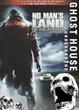 雾人2008(2008)海报