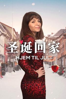 圣诞寻伴第3季(2025)海报