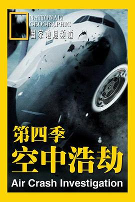 空中浩劫第四季(1985)海报