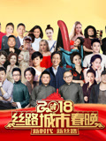 2018丝路城市春晚(2018)海报