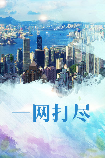 一网打尽(2013)海报