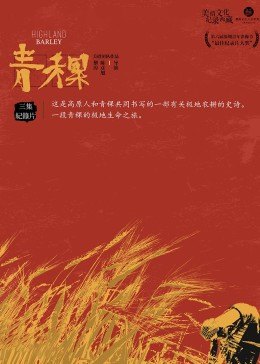 青稞(1986)海报