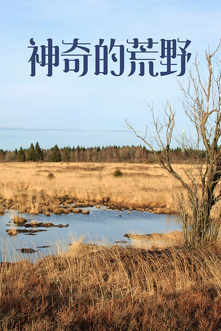 神奇的荒野(2019)海报