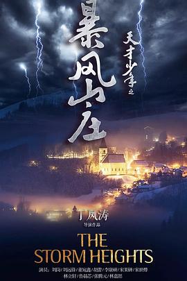 天才少年之暴风山庄(2018)海报