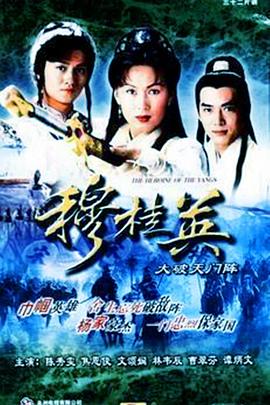 穆桂英之大破天门阵粤语(1998)海报