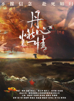 丹心燃情(2022)海报