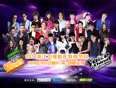 浙江卫视2014新年特别节目(2014)海报