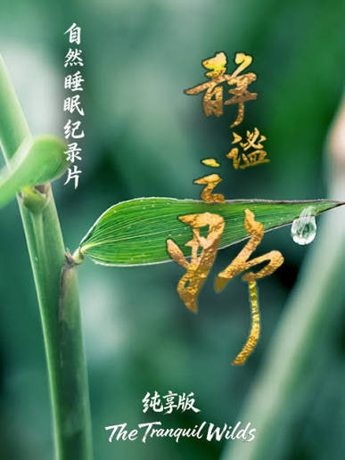 静谧之野 纯享版(2026)海报