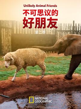 不可思议的好朋友第二季(2018)海报