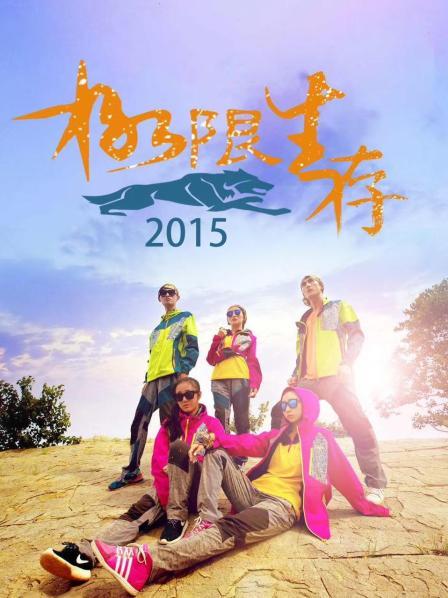 极限生存2015(2015)海报