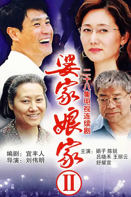 婆家娘家(2005)海报