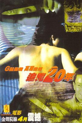 追凶20年国语(1998)海报