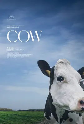 奶牛 2021(2021)海报