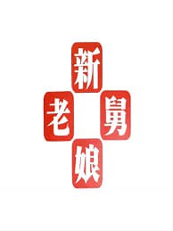 新老娘舅(2012)海报