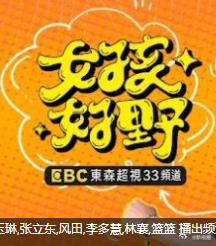 女孩好野第二季(2025)海报