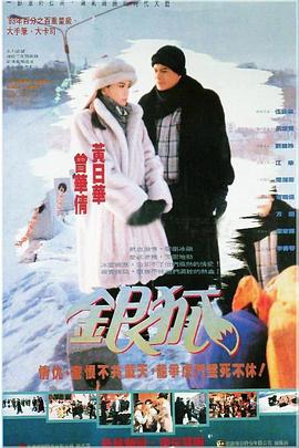 银狐国语(1993)海报
