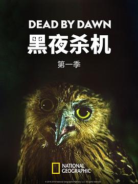 黑夜杀机第一季(2019)海报