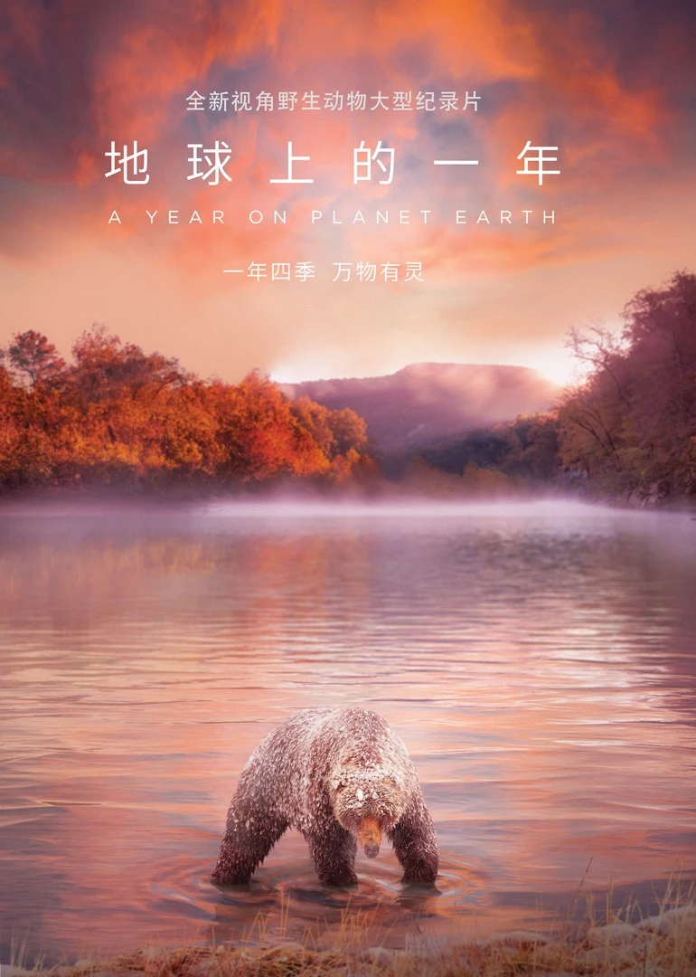 地球上的一年英语版(2022)海报