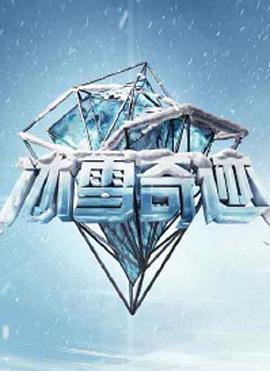 冰雪奇迹(2016)海报