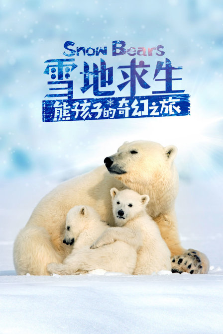 雪地求生:熊孩子的奇幻之旅(2017)海报