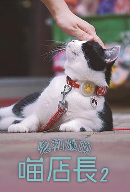 他和她的喵店长2(2024)海报
