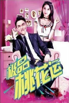 极品桃花运(2017)海报