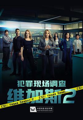 犯罪现场调查:维加斯 第二季(2021)海报