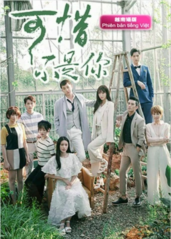 可惜不是你 越南语版(2017)海报