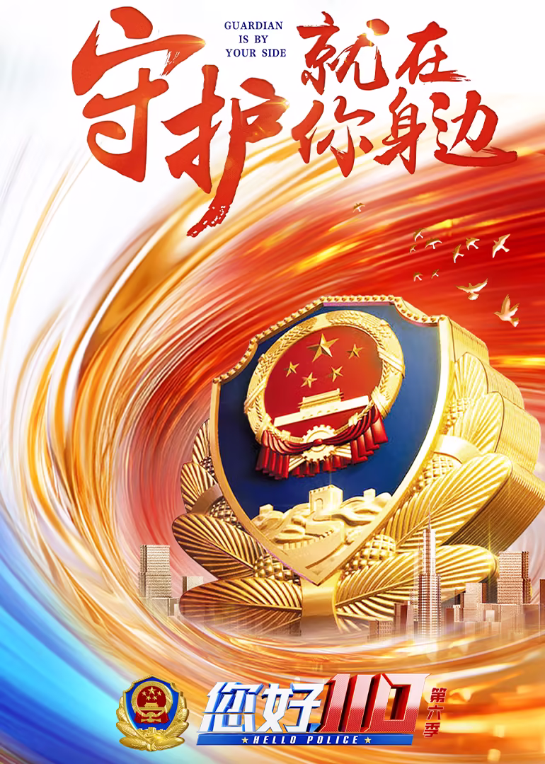 您好,110 第六季(2019)海报