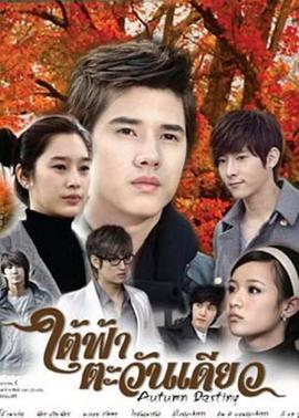 秋天的命运(2010)海报