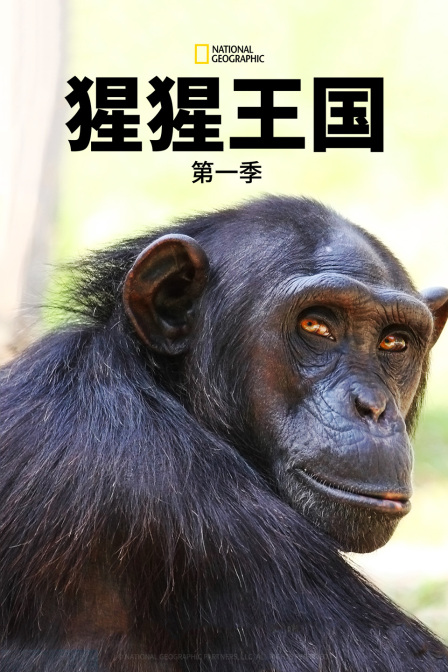猩猩王国第一季(2021)海报