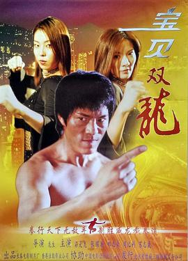 宝贝双龙(2002)海报