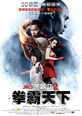 冬荫功2:拳霸天下(原声版)(2013)海报