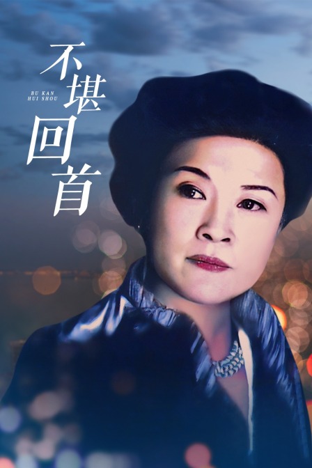不堪回首(2011)海报