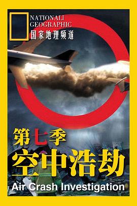 空中浩劫第七季(2009)海报